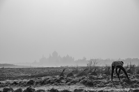 Farming