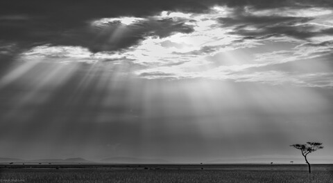 The Heavens Speaking Masai Mara, Kenya, May 2025