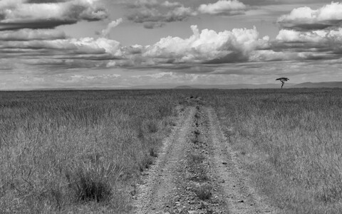 The Pathless Road Masai Mara, Kenya, May 2025
