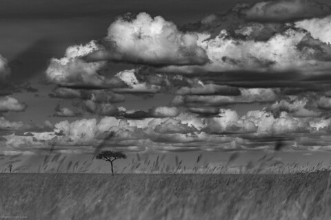 Clouds in the Mara Masai Mara, Kenya, May 2025