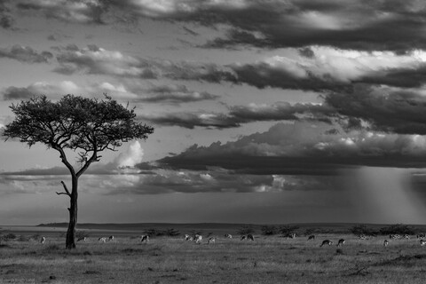 Clouds in the Mara Masai Mara, Kenya, May 2025