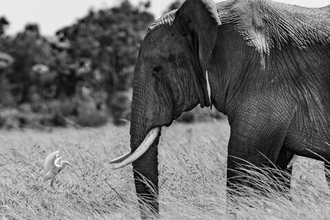 Conversations Masai Mara, Kenya, May 2025