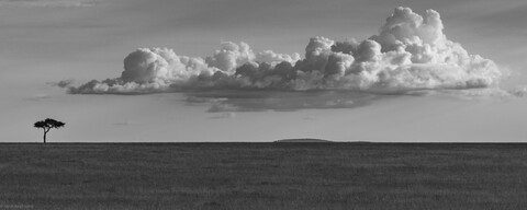 Aaahhhh Masai Mara, Kenya, May 2025