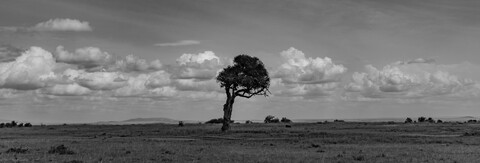 Mara Masai Mara, Kenya, May 2025