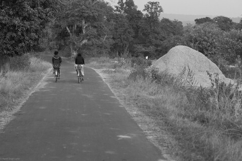 Kanha, Madhya Pradesh, December 2025