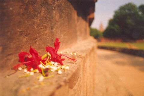 Offerings at Dharmek stupa, Sarnath Mehraab Exhibition, Gurgaon. April 2005