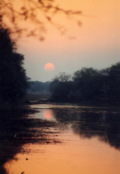 Sunset at Bharatpur Mehraab Exhibition, Gurgaon. April 2005