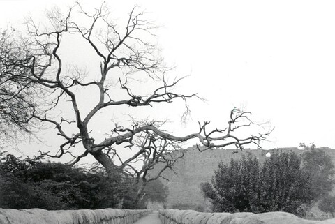 Tomb of Ghiyasuddin Tughlaq, Delhi Mehraab Exhibition, Gurgaon. April 2005