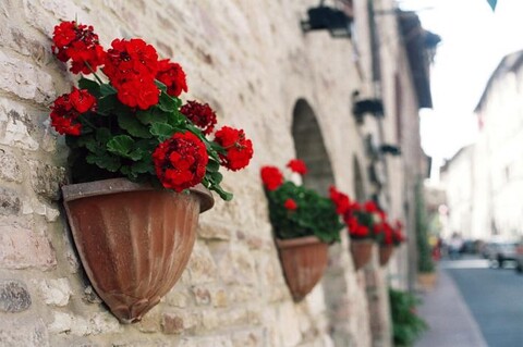 Italy. June 2006