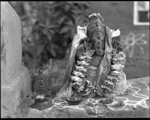 Tamil Nadu, India. August 2011