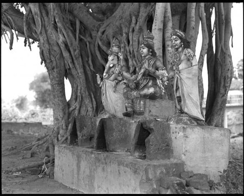 Tamil Nadu, India. August 2011