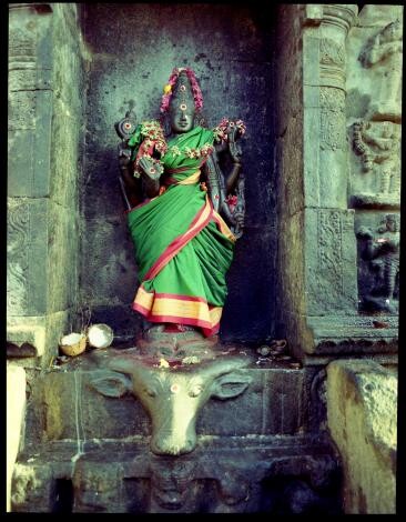 Tamil Nadu, India. August 2011