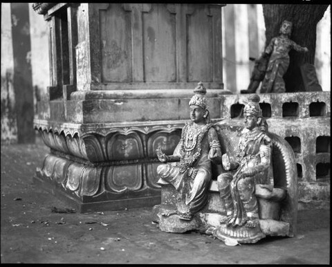 Tamil Nadu, India. August 2011