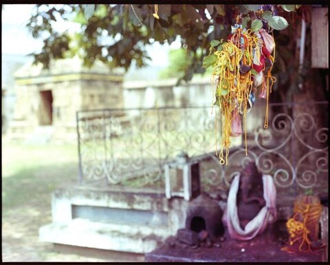 Tamil Nadu, India. August 2011