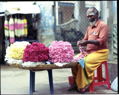 Tamil Nadu, India. August 2011