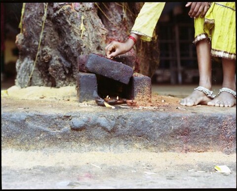 Tamil Nadu, India. August 2011