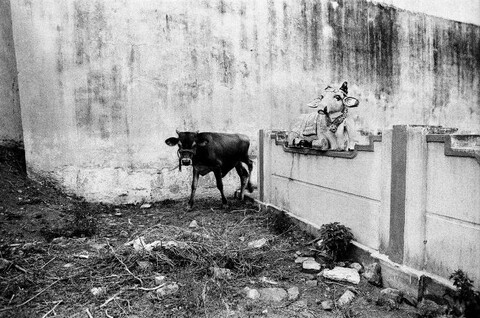 Tamil Nadu, India. August 2011