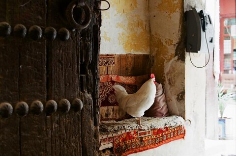 Morocco. November 2011