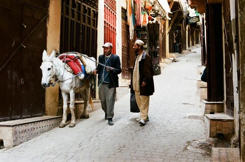 Morocco. November 2011