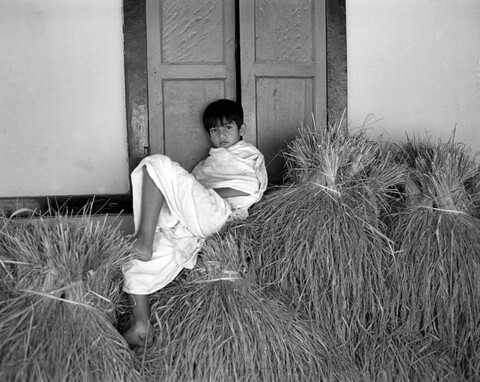 Majuli, Assam. November 2015