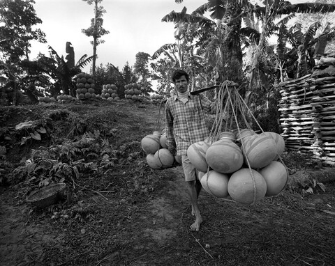 Majuli, Assam. November 2015