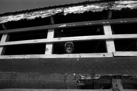 Majuli, Assam. November 2015