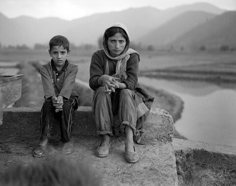 Dardpora road Lolab Valley, Kashmir. May 2016