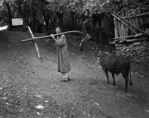 Dardpora, Peasant. Lolab Valley, Kashmir. May 2016