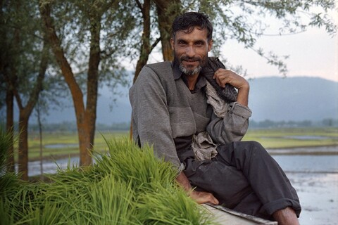 Darpora road, rice planting Lolab Valley, Kashmir. May 2016