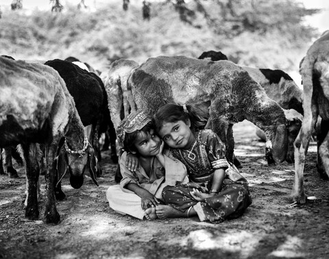 Zararwadi Cousins Kutch, Gujarat. October 2016