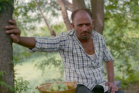 Sattar Mangar, Haryana. July 2017
