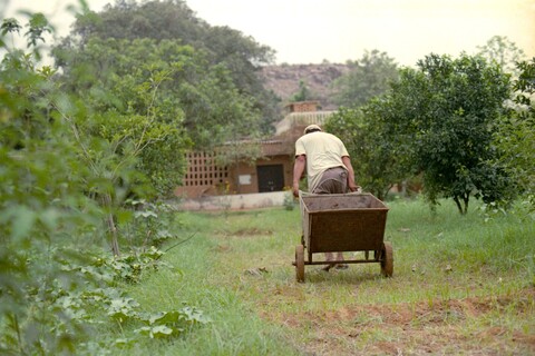 Kallu Mangar, Haryana. July 2017