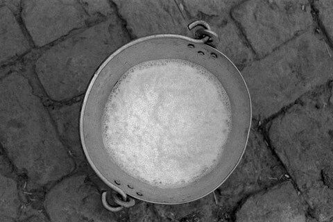 Milk Mangar, Haryana. July 2017