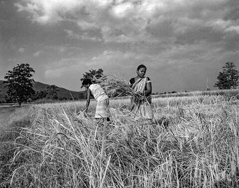 Sundergarh, Odisha. October 2017