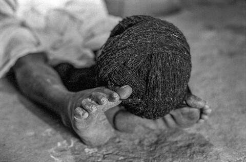 The Kurma Shepards: at work Medak, Telangana. October 2017