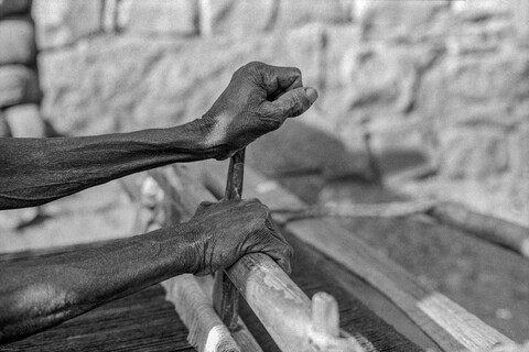 The Kurma Shepards: Virgonda at work Medak, Telangana. October 2017