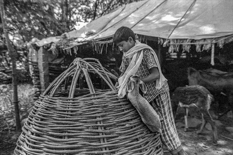 The Kurma Shepards: young Anand Medak, Telangana. October 2017