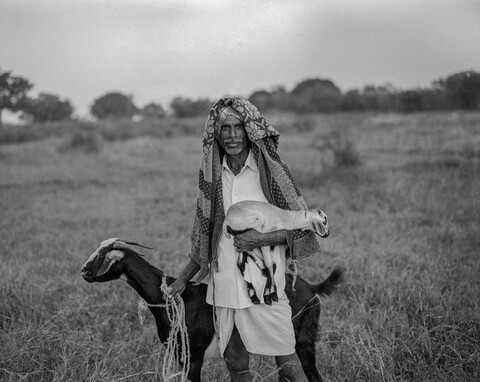 The Kurma Shepards #30 Medak, Telangana. October 2017