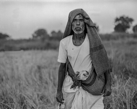The Kurma Shepards #31 Medak, Telangana. October 2017