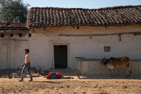 Koni village street Panna, Madhya Pradesh. January 2019