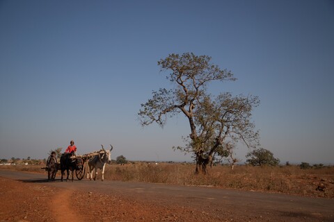 Leaving Koni Panna, Madhya Pradesh. January 2019