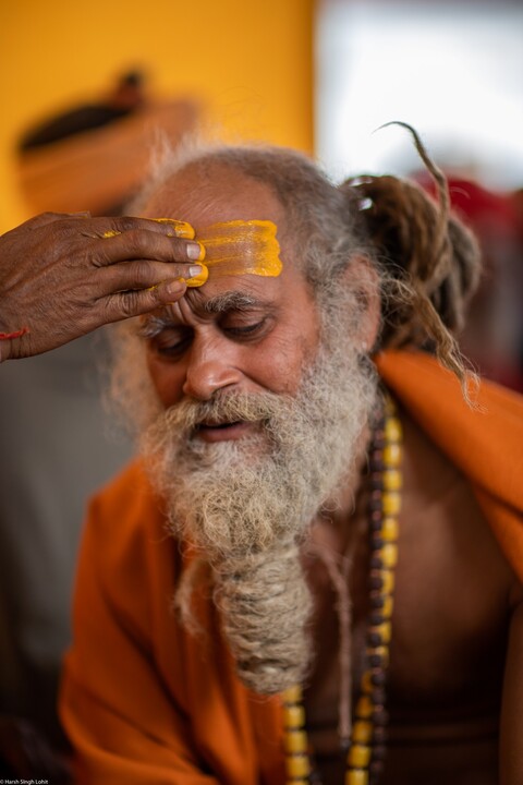 Kumbh Sadhu Applying Haldi Sangam, Uttar Pradesh. February 2019