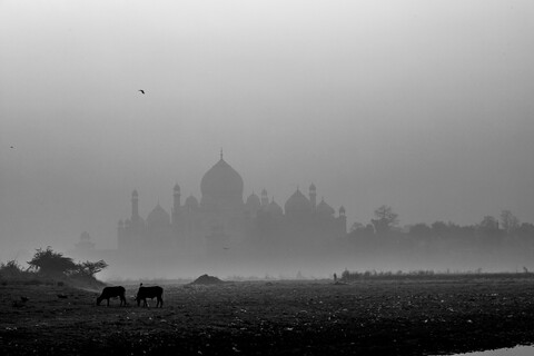 South Bank Agra, Uttar Pradesh. March 2020