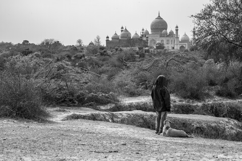 Companions Agra, Uttar Pradesh. March 2020