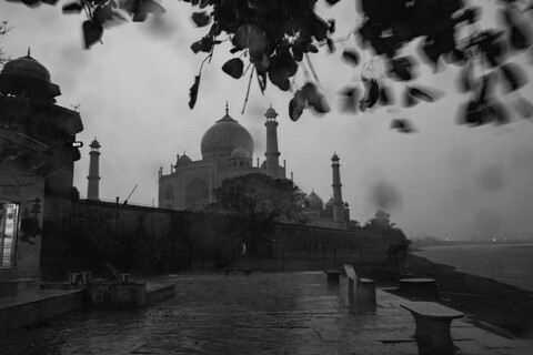 Raindrops Agra, Uttar Pradesh. March 2020