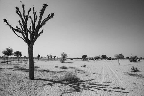 Sonaram Meghwal's Dhani Siyana, Rajasthan. February 2021