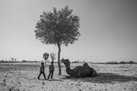 Sonaram's Grandchildren Siyana, Rajasthan. February 2021