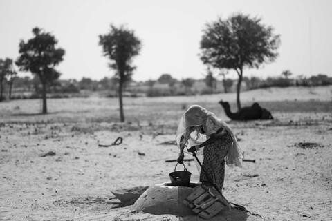 Water Siyana, Rajasthan. February 2021