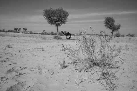 Mother and Child Siyana, Rajasthan. February 2021