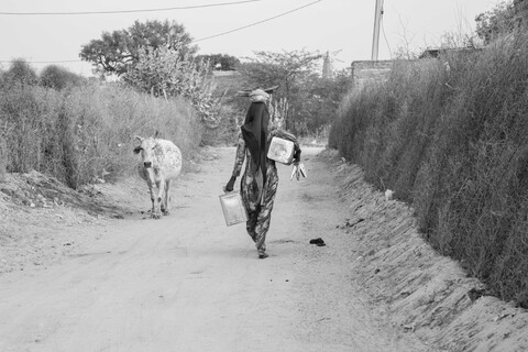 Siyana Lane Siyana, Rajasthan. February 2021